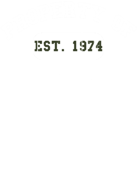 https://d1w8c6s6gmwlek.cloudfront.net/usstshirts.com/overlays/731/537/7315372.png img