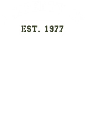 https://d1w8c6s6gmwlek.cloudfront.net/usstshirts.com/overlays/731/675/7316757.png img