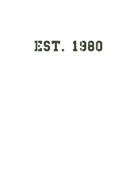 https://d1w8c6s6gmwlek.cloudfront.net/usstshirts.com/overlays/731/816/7318167.png img