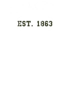 https://d1w8c6s6gmwlek.cloudfront.net/usstshirts.com/overlays/733/052/7330526.png img