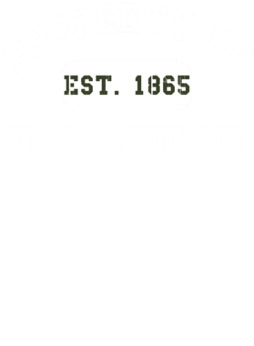 https://d1w8c6s6gmwlek.cloudfront.net/usstshirts.com/overlays/733/251/7332519.png img