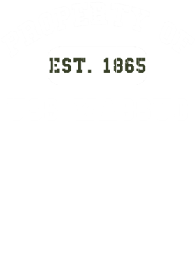 https://d1w8c6s6gmwlek.cloudfront.net/usstshirts.com/overlays/733/265/7332657.png img