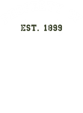 https://d1w8c6s6gmwlek.cloudfront.net/usstshirts.com/overlays/733/371/7333714.png img