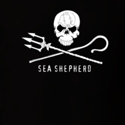 sea Shepherd Whale Wars Anti Whaling Marine Conversation Ship T Shirt 26052937