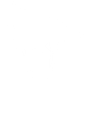 https://d1w8c6s6gmwlek.cloudfront.net/verycooltshirts.com/overlays/402/386/40238621.png img