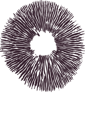 https://d1w8c6s6gmwlek.cloudfront.net/verycooltshirts.com/overlays/402/662/40266297.png img
