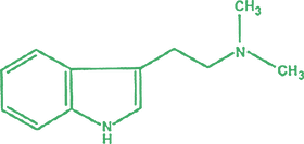 image overlay