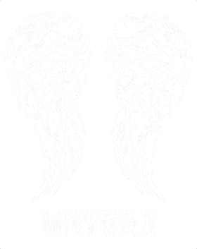 image overlay