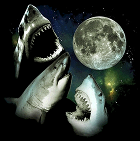 image overlay