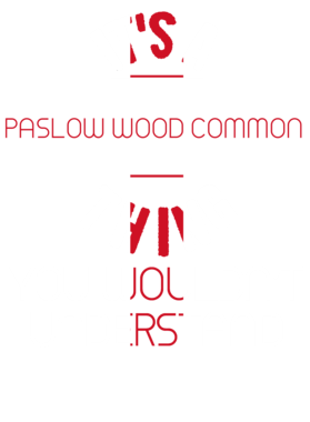 https://d1w8c6s6gmwlek.cloudfront.net/worldclasscitytees.com/overlays/219/056/21905622.png img