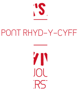 https://d1w8c6s6gmwlek.cloudfront.net/worldclasscitytees.com/overlays/219/064/21906420.png img