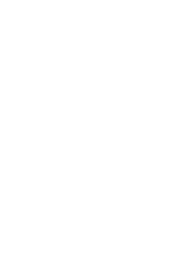 https://d1w8c6s6gmwlek.cloudfront.net/worldclasscitytees.com/overlays/252/993/25299369.png img