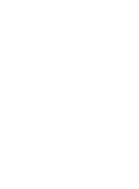 https://d1w8c6s6gmwlek.cloudfront.net/worldclasscitytees.com/overlays/252/995/25299506.png img