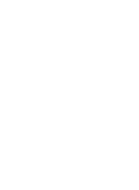 https://d1w8c6s6gmwlek.cloudfront.net/worldclasscitytees.com/overlays/253/012/25301277.png img