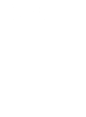 https://d1w8c6s6gmwlek.cloudfront.net/worldclasscitytees.com/overlays/253/027/25302792.png img