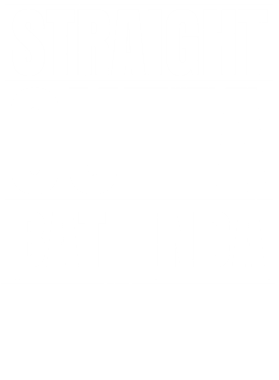 https://d1w8c6s6gmwlek.cloudfront.net/worldclasscitytees.com/overlays/253/034/25303420.png img