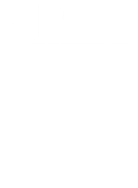 https://d1w8c6s6gmwlek.cloudfront.net/worldclasscitytees.com/overlays/253/101/25310100.png img