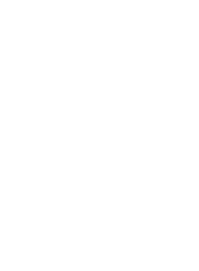 https://d1w8c6s6gmwlek.cloudfront.net/worldclasscitytees.com/overlays/253/101/25310171.png img