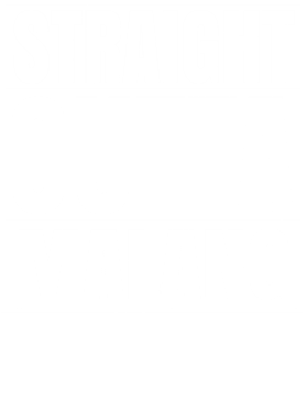 https://d1w8c6s6gmwlek.cloudfront.net/worldclasscitytees.com/overlays/253/112/25311243.png img