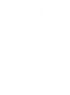 https://d1w8c6s6gmwlek.cloudfront.net/worldclasscitytees.com/overlays/253/114/25311472.png img
