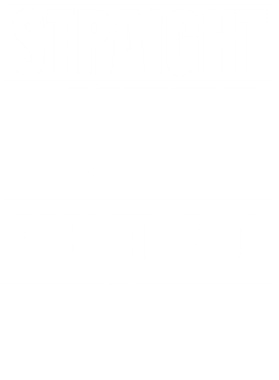 https://d1w8c6s6gmwlek.cloudfront.net/worldclasscitytees.com/overlays/253/116/25311605.png img