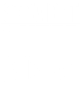 https://d1w8c6s6gmwlek.cloudfront.net/worldclasscitytees.com/overlays/253/117/25311714.png img