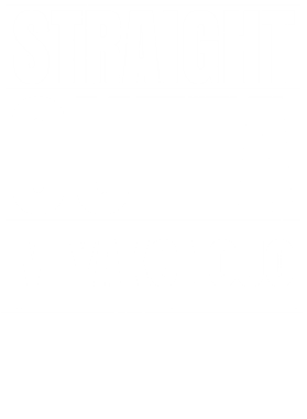 https://d1w8c6s6gmwlek.cloudfront.net/worldclasscitytees.com/overlays/253/117/25311742.png img