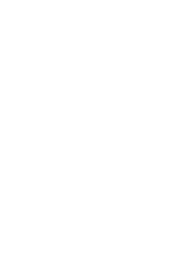 https://d1w8c6s6gmwlek.cloudfront.net/worldclasscitytees.com/overlays/253/117/25311770.png img