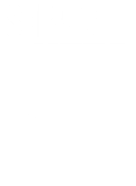 https://d1w8c6s6gmwlek.cloudfront.net/worldclasscitytees.com/overlays/253/120/25312008.png img