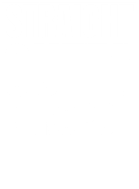 https://d1w8c6s6gmwlek.cloudfront.net/worldclasscitytees.com/overlays/253/123/25312380.png img