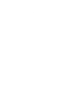 https://d1w8c6s6gmwlek.cloudfront.net/worldclasscitytees.com/overlays/253/123/25312384.png img