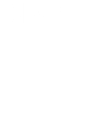 https://d1w8c6s6gmwlek.cloudfront.net/worldclasscitytees.com/overlays/253/125/25312555.png img