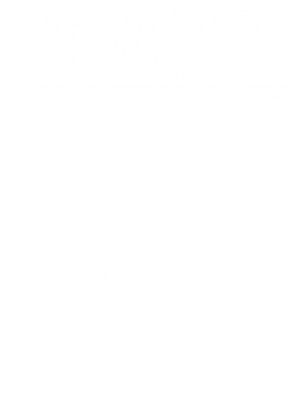 https://d1w8c6s6gmwlek.cloudfront.net/worldclasscitytees.com/overlays/253/128/25312883.png img