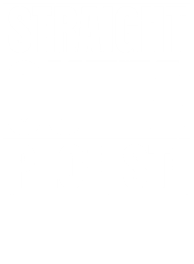 https://d1w8c6s6gmwlek.cloudfront.net/worldclasscitytees.com/overlays/253/132/25313280.png img
