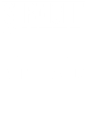 https://d1w8c6s6gmwlek.cloudfront.net/worldclasscitytees.com/overlays/253/134/25313491.png img