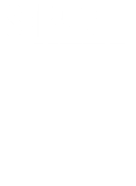 https://d1w8c6s6gmwlek.cloudfront.net/worldclasscitytees.com/overlays/253/135/25313503.png img