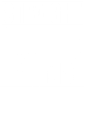 https://d1w8c6s6gmwlek.cloudfront.net/worldclasscitytees.com/overlays/253/138/25313803.png img