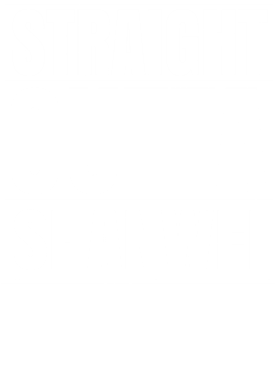 https://d1w8c6s6gmwlek.cloudfront.net/worldclasscitytees.com/overlays/253/144/25314479.png img