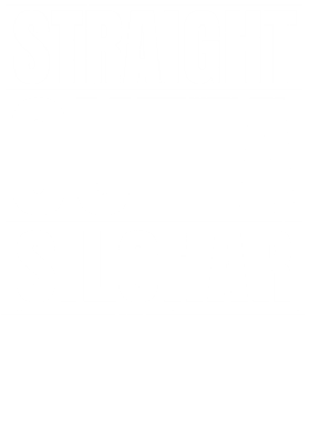 https://d1w8c6s6gmwlek.cloudfront.net/worldclasscitytees.com/overlays/253/146/25314626.png img