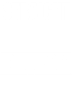 https://d1w8c6s6gmwlek.cloudfront.net/worldclasscitytees.com/overlays/253/146/25314686.png img
