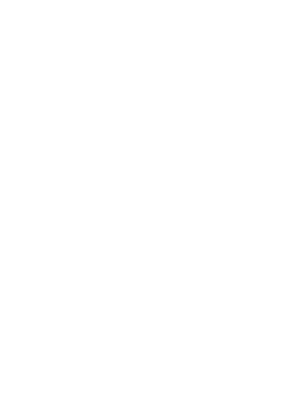 https://d1w8c6s6gmwlek.cloudfront.net/worldclasscitytees.com/overlays/253/147/25314727.png img