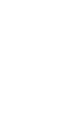 https://d1w8c6s6gmwlek.cloudfront.net/worldclasscitytees.com/overlays/253/150/25315018.png img