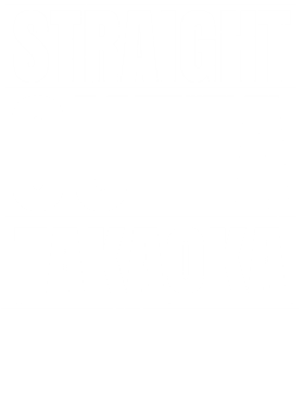 https://d1w8c6s6gmwlek.cloudfront.net/worldclasscitytees.com/overlays/253/151/25315136.png img
