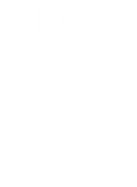 https://d1w8c6s6gmwlek.cloudfront.net/worldclasscitytees.com/overlays/253/151/25315157.png img