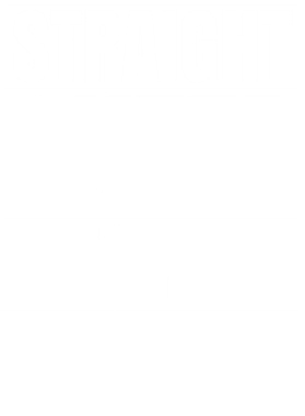https://d1w8c6s6gmwlek.cloudfront.net/worldclasscitytees.com/overlays/253/155/25315516.png img