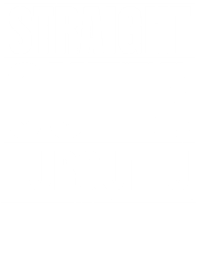 https://d1w8c6s6gmwlek.cloudfront.net/worldclasscitytees.com/overlays/253/155/25315595.png img