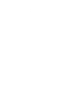 https://d1w8c6s6gmwlek.cloudfront.net/worldclasscitytees.com/overlays/353/201/35320101.png img