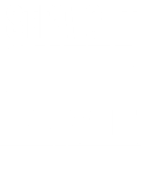 https://d1w8c6s6gmwlek.cloudfront.net/worldclasscitytees.com/overlays/353/203/35320351.png img
