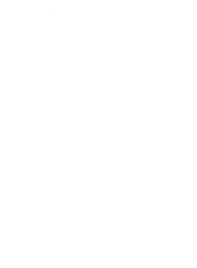 https://d1w8c6s6gmwlek.cloudfront.net/worldclasscitytees.com/overlays/353/218/35321896.png img