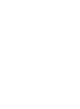 https://d1w8c6s6gmwlek.cloudfront.net/worldclasscitytees.com/overlays/353/251/35325151.png img